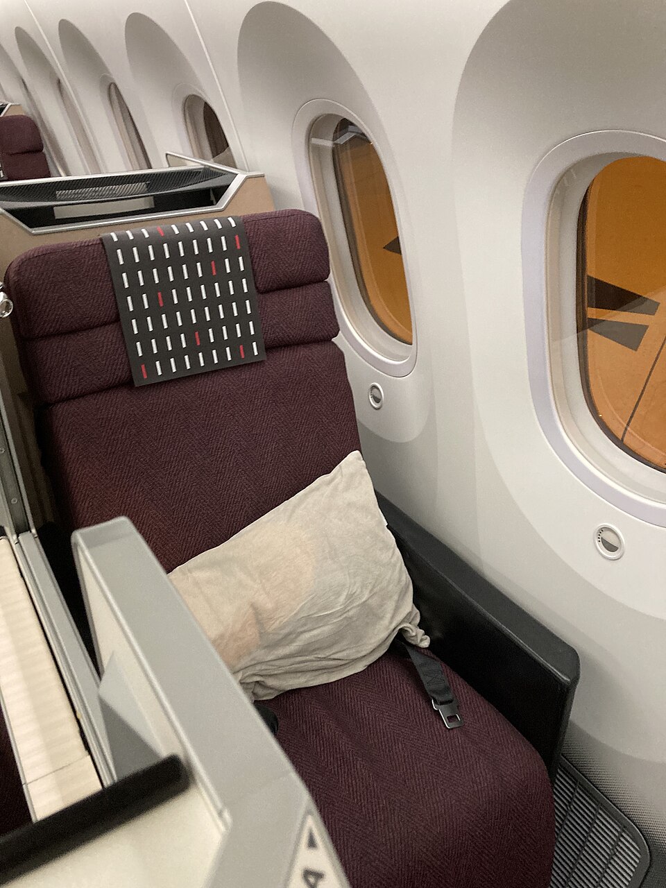 Japan Airlines 787-9 business · photographed August 2021